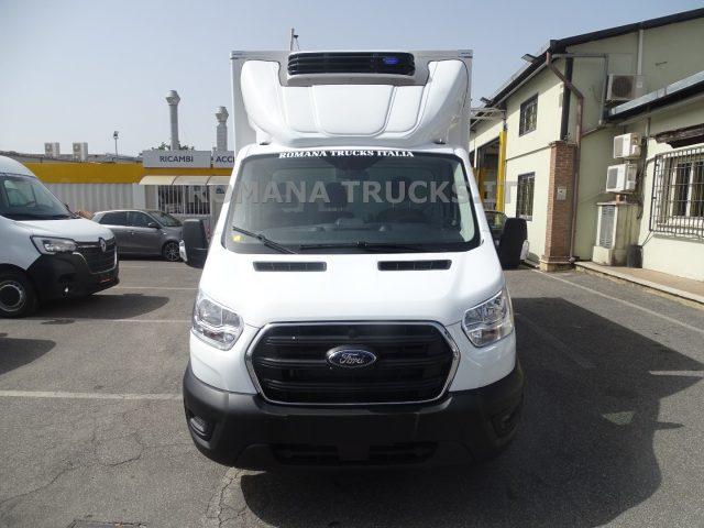 FORD Transit 130CV ISOTERMICO 7 EUROPALLET FRCX -20°