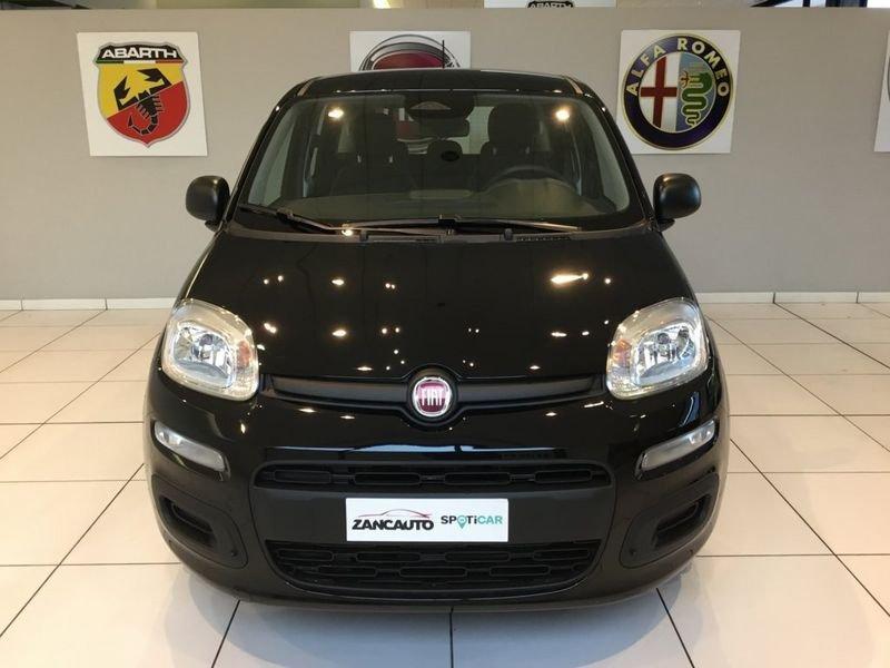 FIAT Panda Panda 1.0 FireFly S&S Hybrid Pop 65cv