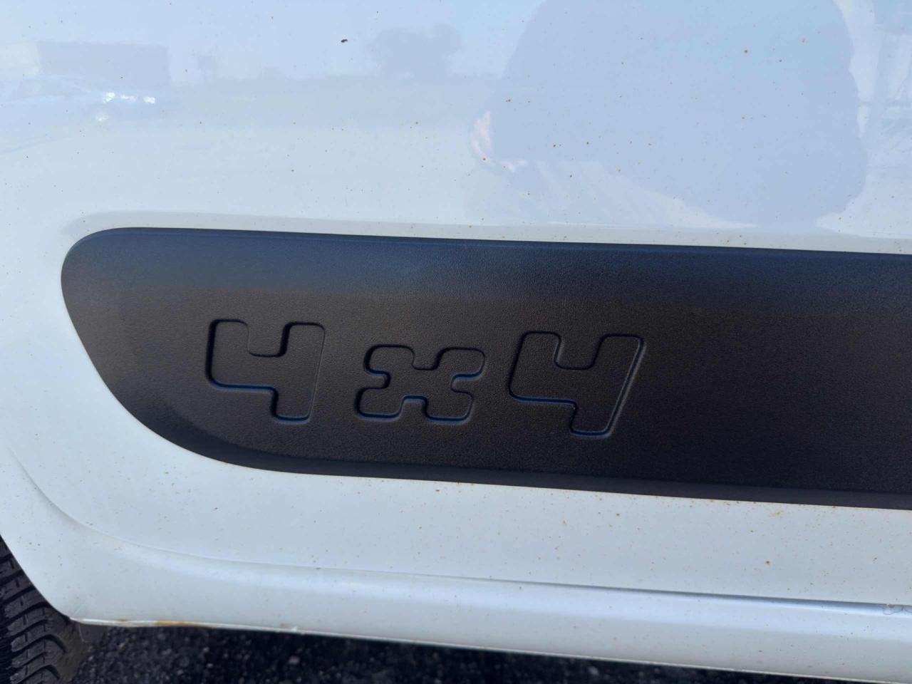 Fiat Panda VAN 4X4 1.3 MJT 80 CV-AUTOCARRO N1 2 POSTI-E6B+IVA
