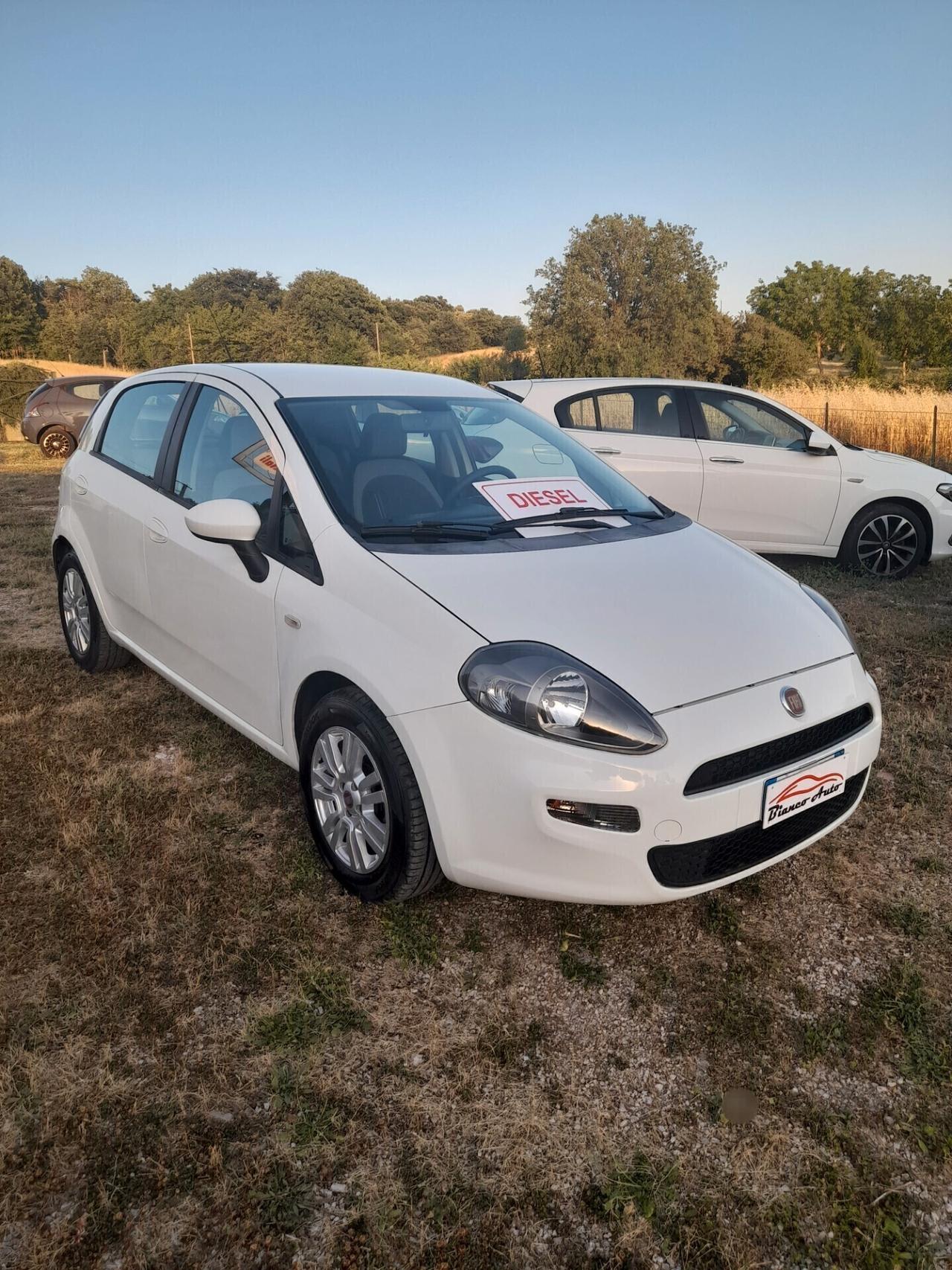 Fiat Punto 1.3 MJT II S&S 85 CV 5 porte ECO Lounge