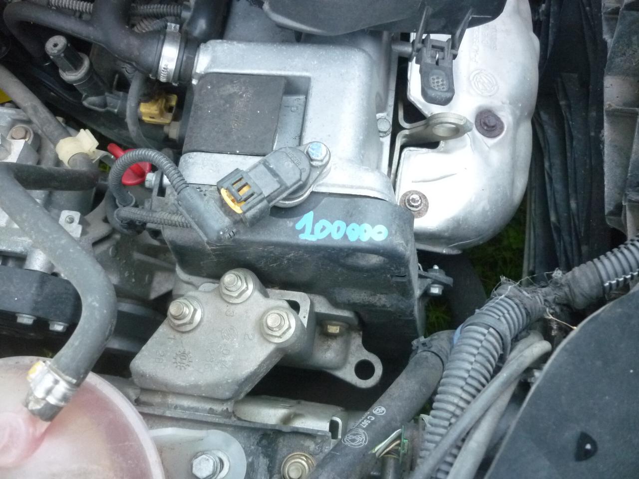 Fiat Panda 1.2 Dynamic NEOPATENTATI KM 113.000