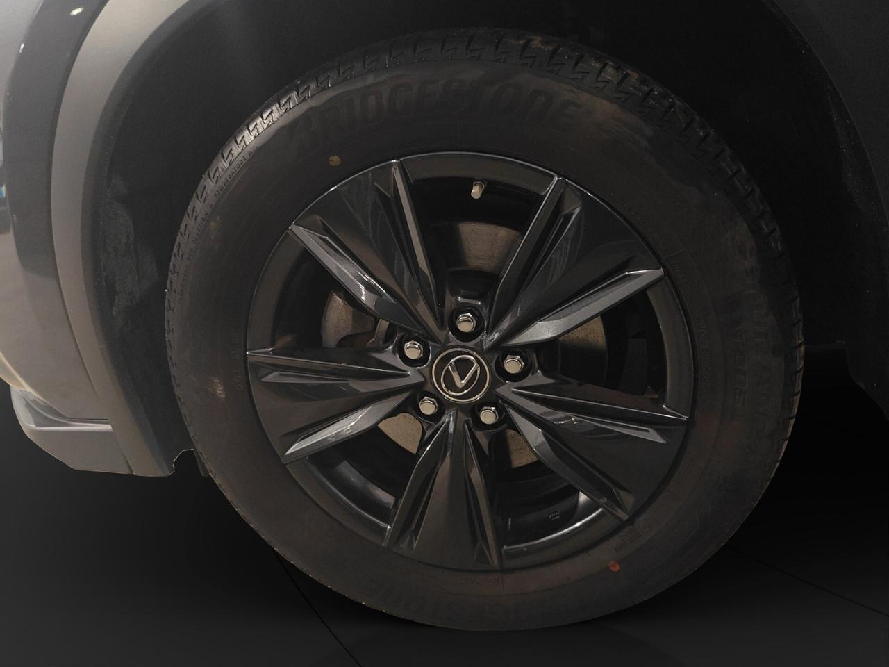 Lexus UX Hybrid Urban 2wd