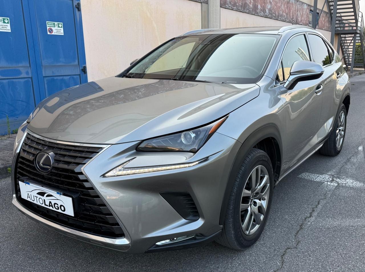 Lexus NX 300h NX Hybrid Business 2020