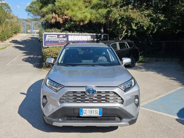 Toyota RAV 4 RAV4 2.5 HV (218CV) E-CVT 2WD Dynamic