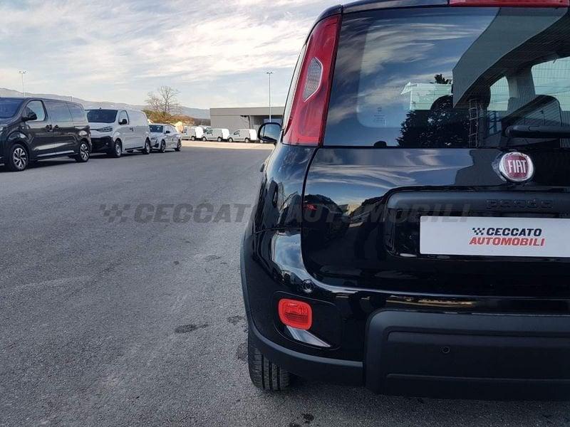 FIAT Panda 1.0 70cv Hybrid Panda