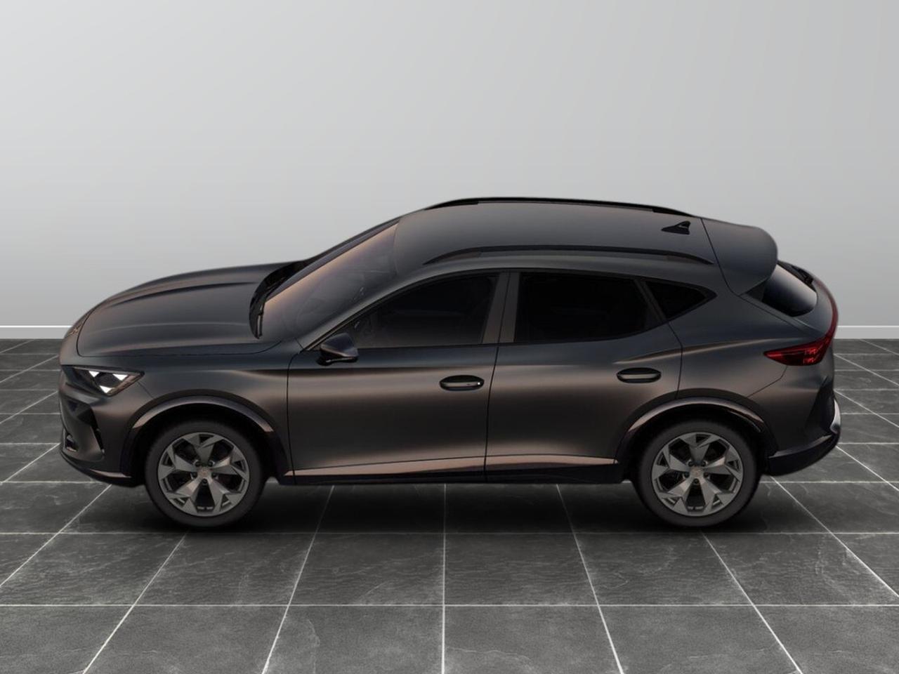 Cupra Formentor 2.0 tdi 150cv dsg