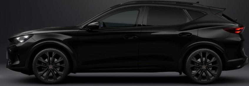 Cupra Formentor 2.0 tdi Tribe Edition 150cv dsg