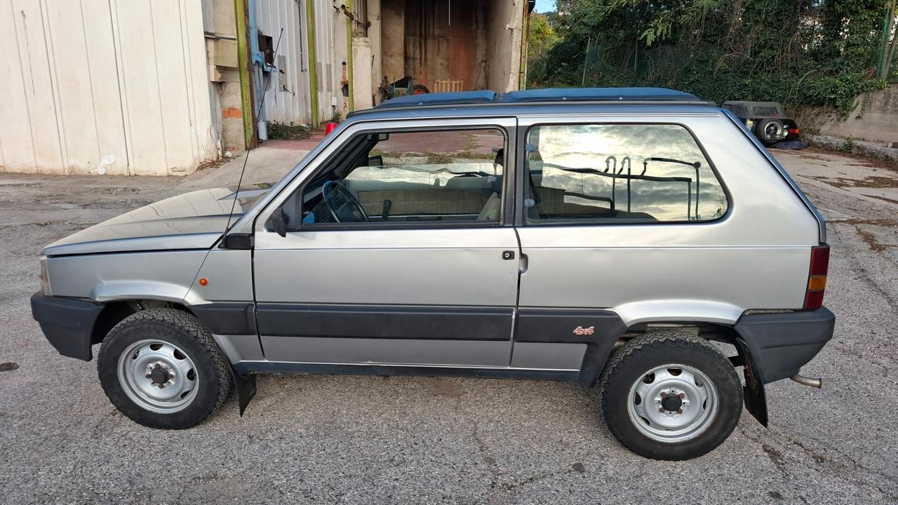 Fiat Panda 1000 4x4 doppio tettuccio apribile