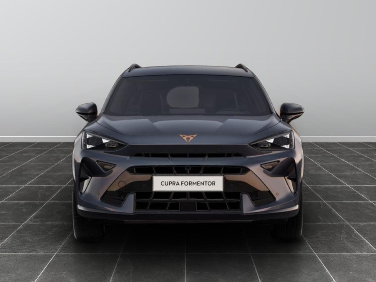 Cupra Formentor 2.0 tdi 150cv dsg