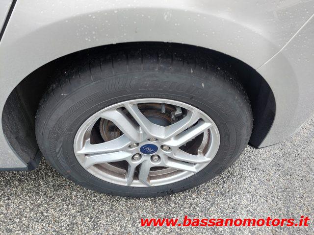 FORD Focus 1.5 EcoBlue 120 CV 5p. Business