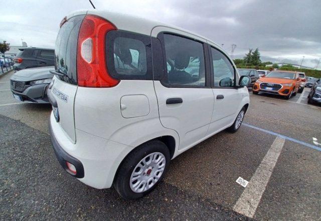 FIAT Panda 1.2 Easy AUTOVETTURA