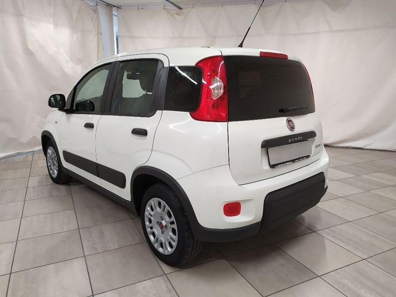 FIAT Panda van 1.0 hybrid Street 70cv 4p.ti serie 4 E6d