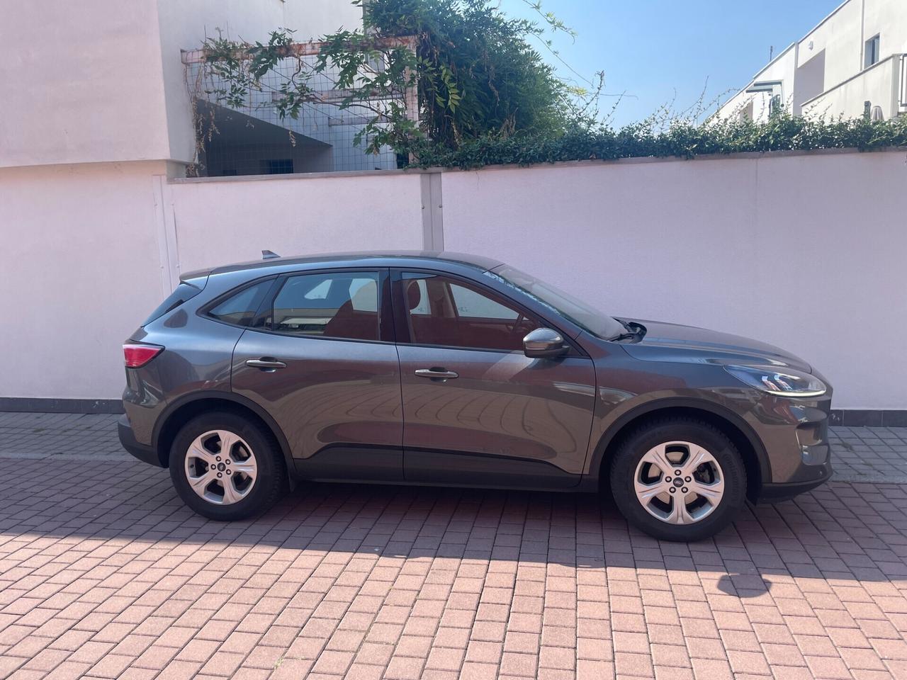 Ford Kuga 1.5 EcoBlue 120 CV 2WD Titanium
