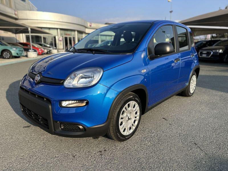 FIAT Panda 1.0 FireFly S&S Hybrid Pandina