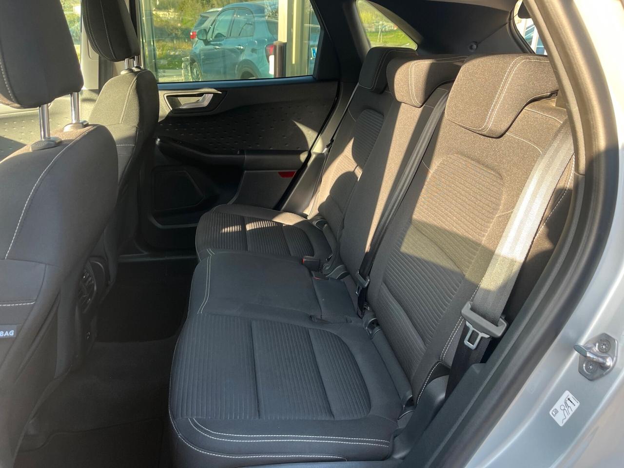 Ford Kuga 1.5 EcoBlue 120 CV 2WD Titanium