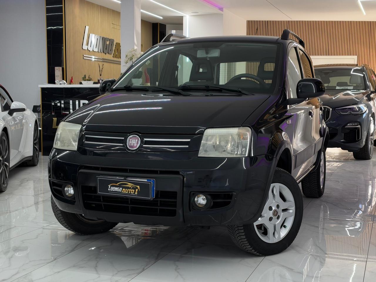 Fiat Panda 1.3 MJT 75Cv 4x4 Climbing