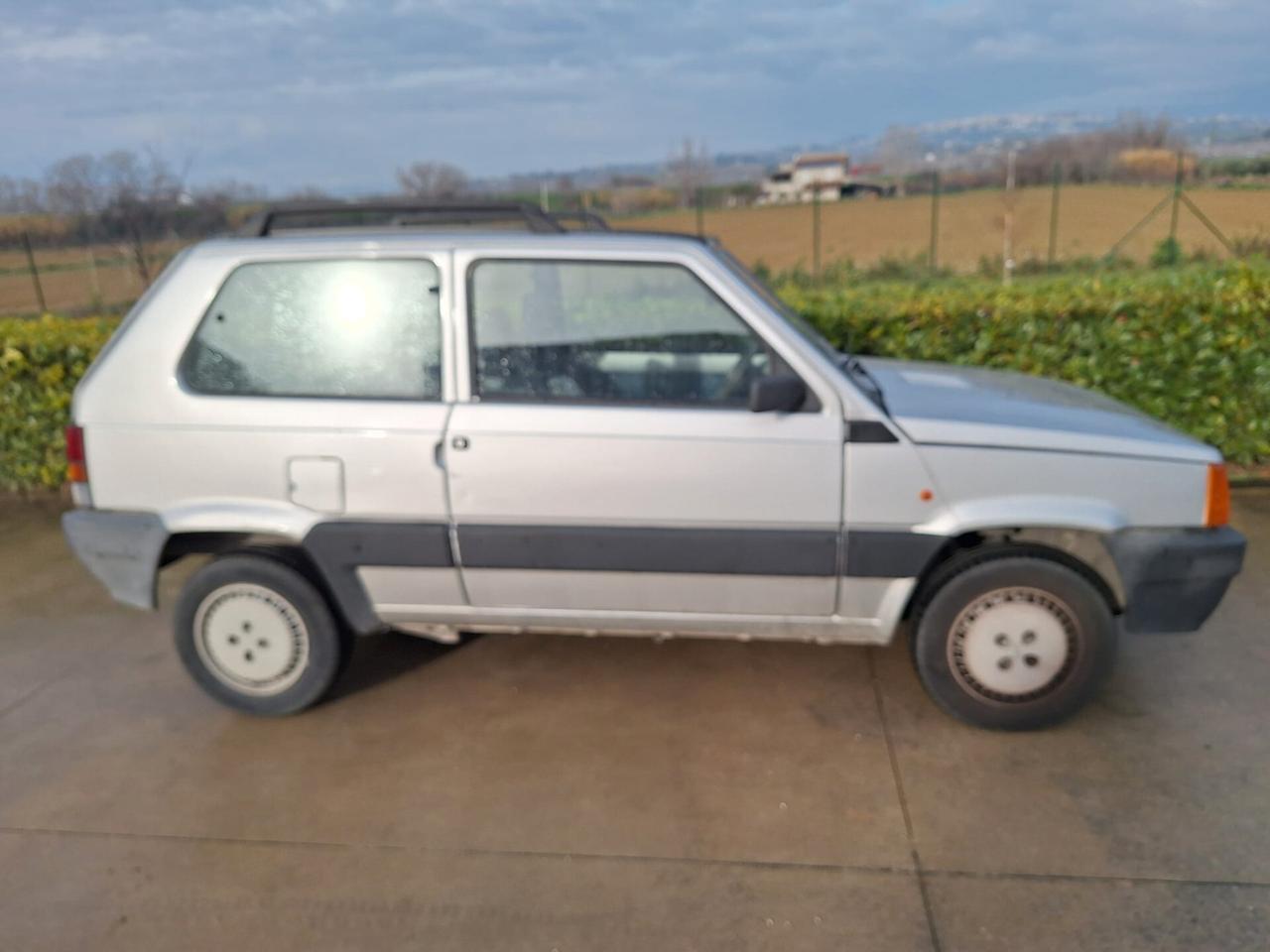 Fiat Panda 1100 i.e. cat Young