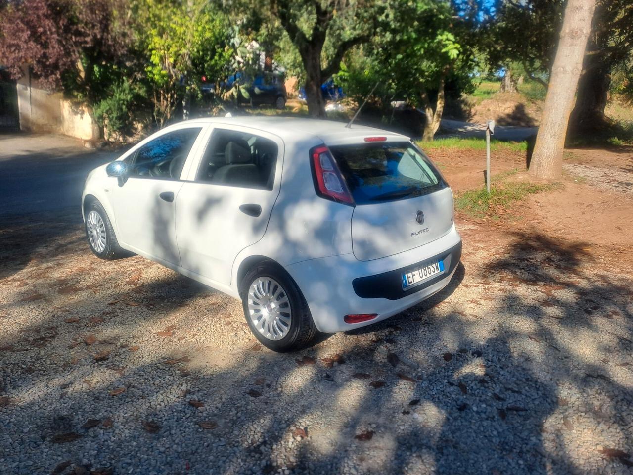 Fiat Punto Evo 1.2 5 porte S&S Dynamic