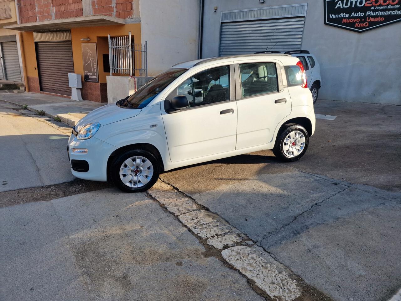 Fiat Panda 1.2 Easy