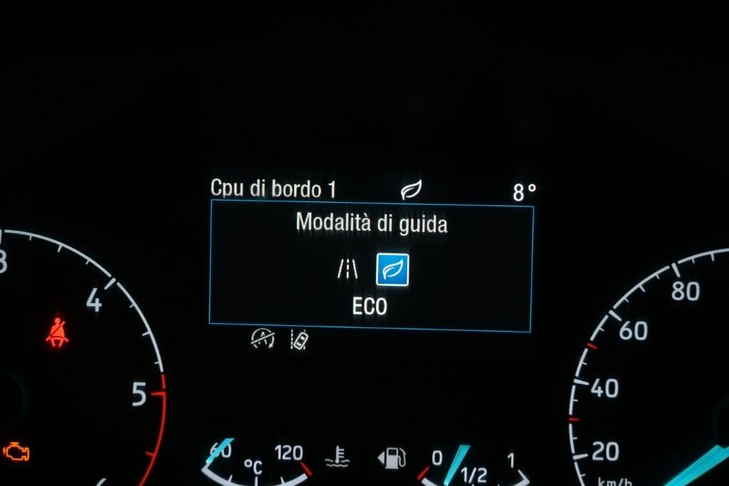 FORD TRANSIT 350 2.0TDCI ECOBLUE MHEV 130CV PM-TM L2H2