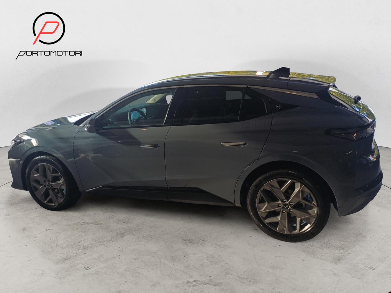 DS N°4 PALLAS HYBRID 145