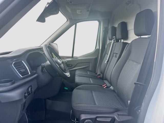 FORD Transit Transit 350 2.0TDCi EcoBlue 165CV PM-TM Furgone Tr