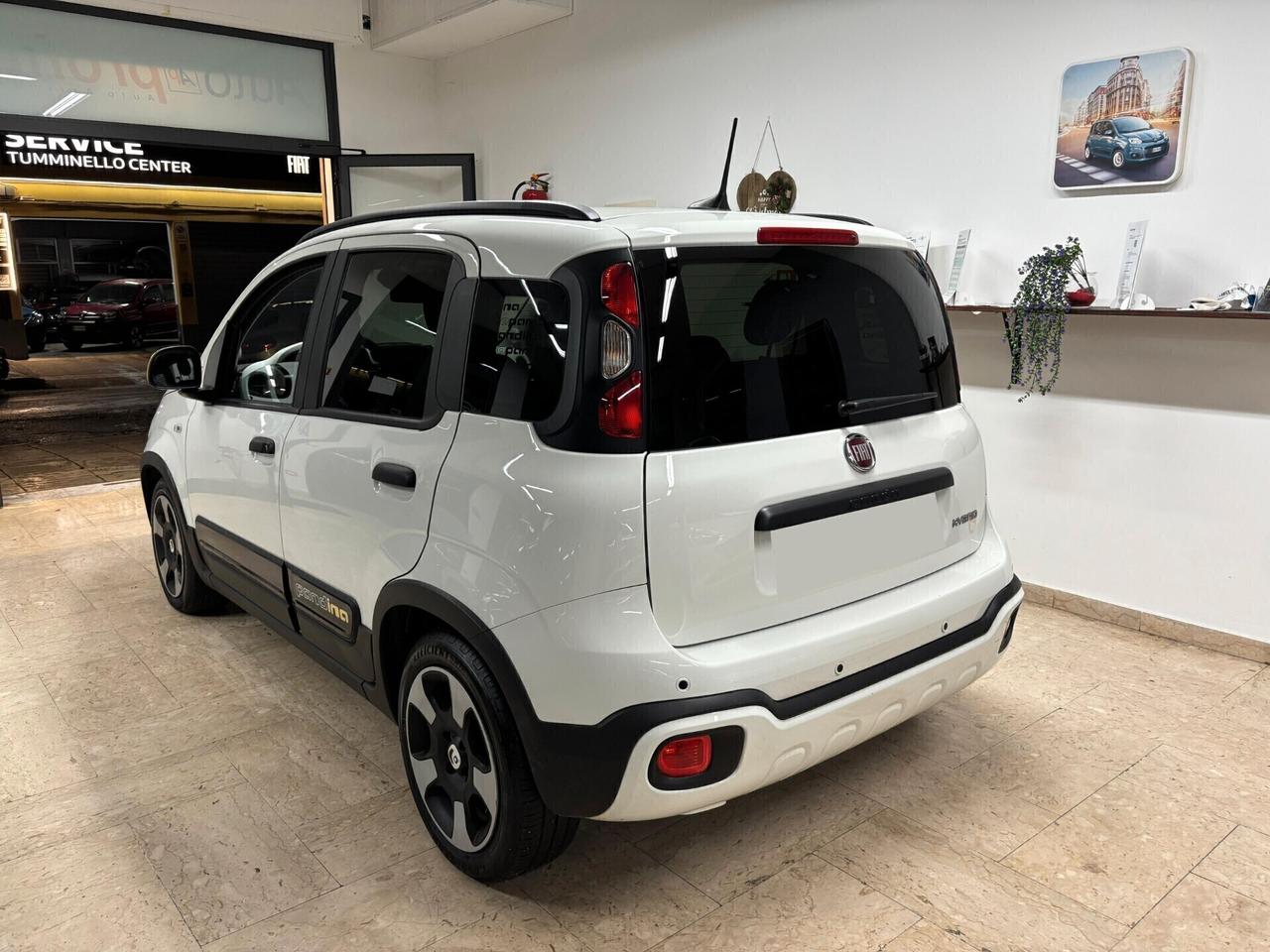 Fiat Panda Pandina Cross 1.0 Hybrid Vari Colori
