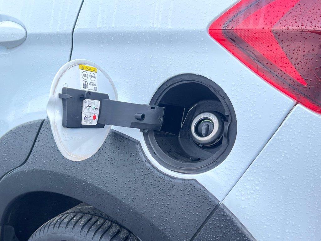 FORD EcoSport 1.0 EcoBoost 125 CV Start&Stop Active del 2022