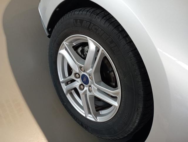 FORD Focus 1.5 EcoBlue 95 CV 5p. Plus