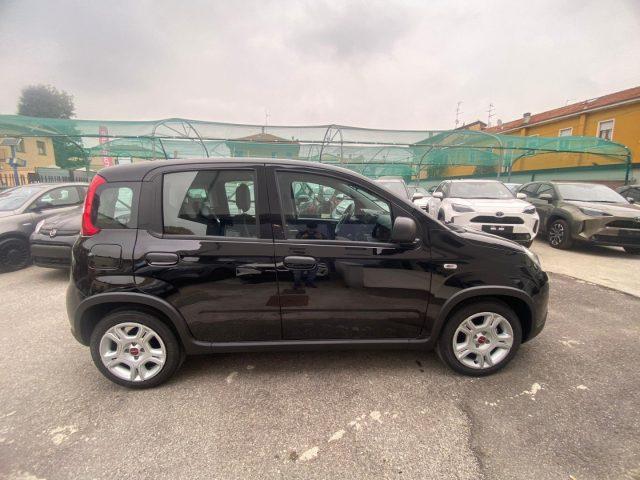 FIAT Panda 1.0 FireFly S&S Hybrid con Pack Comfort +5 Posto