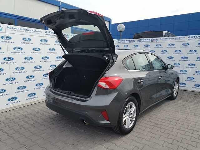 Ford Focus 1.5 EcoBlue 120 CV aut 5p. Business Co-Pilot