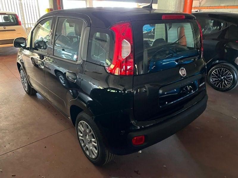 FIAT Panda Panda 1.0 FireFly S&S Hybrid Pop