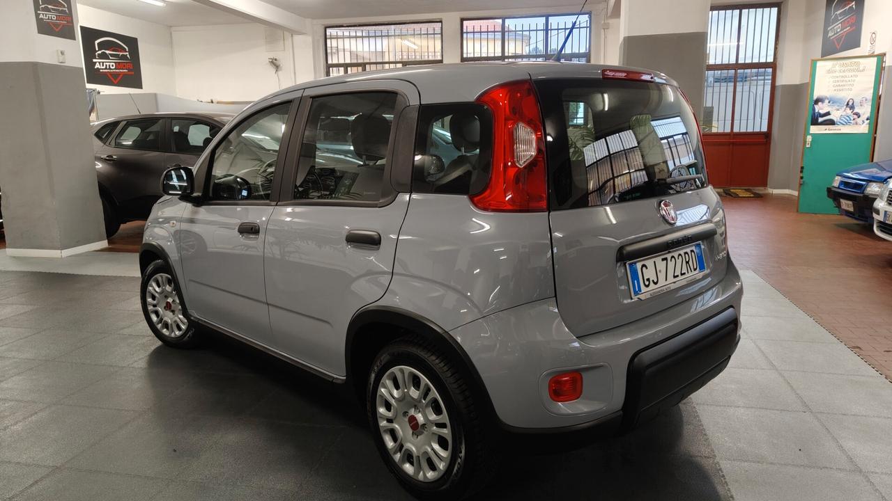 Fiat Panda 1.0 FireFly S&S Hybrid City Life