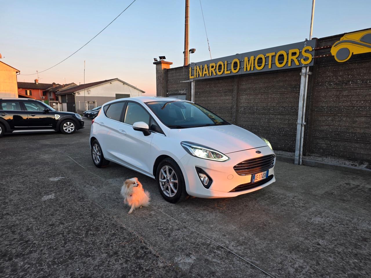 Ford Fiesta 1.0 NEOPATENTATA Hybrid 125 CV 5 porte Titanium