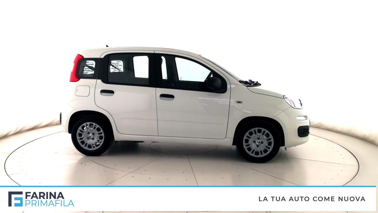 FIAT Panda III 2021 - Panda 1.0 firefly hybrid Pop s&s 70cv