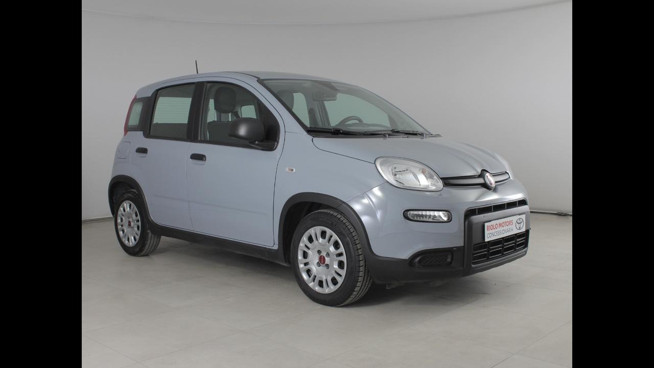 FIAT Panda III 2021 - Panda 1.0 firefly hybrid s&s 70cv