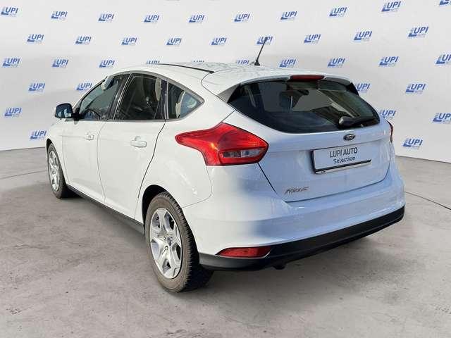 Ford Focus 5p 1.5 tdci Plus s&s 95cv