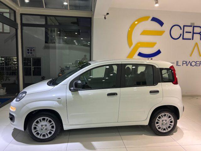 FIAT Panda 1.0 FireFly S&S Hybrid Pandina tua da ?139,00