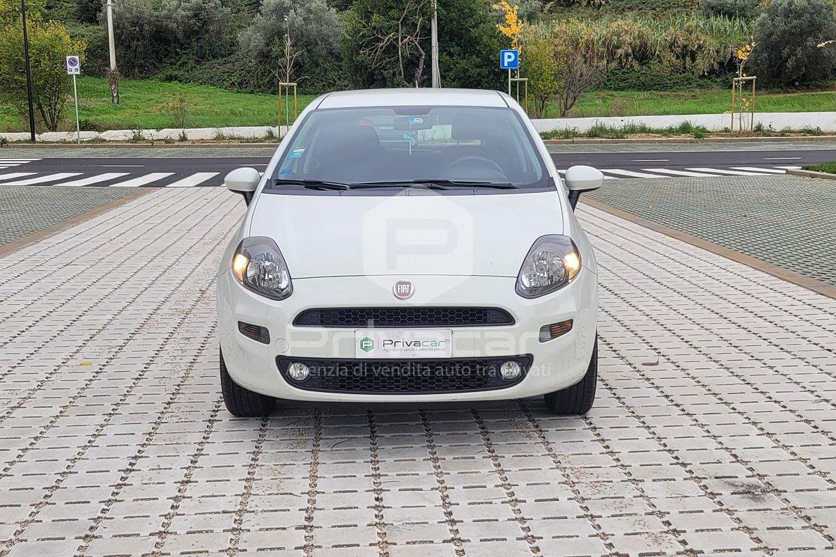 FIAT Punto 1.4 8V 5 porte Natural Power Street