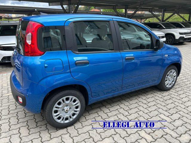 FIAT Panda PROMO FINANZIAMENTO 1.0 Hybrid Icon KM 0