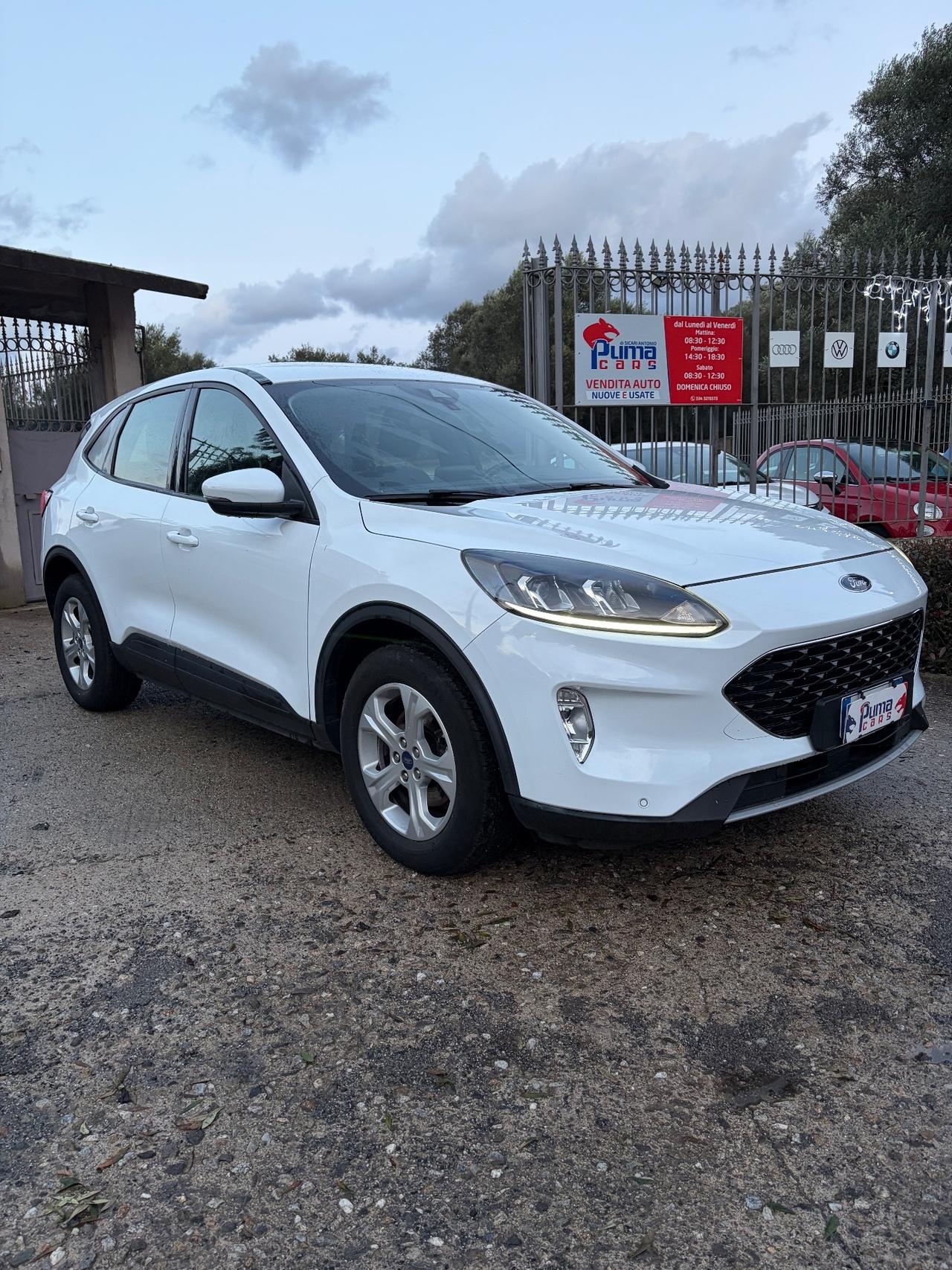 Ford Kuga 1.5 EcoBlue 120 CV aut. 2WD ST-Line X