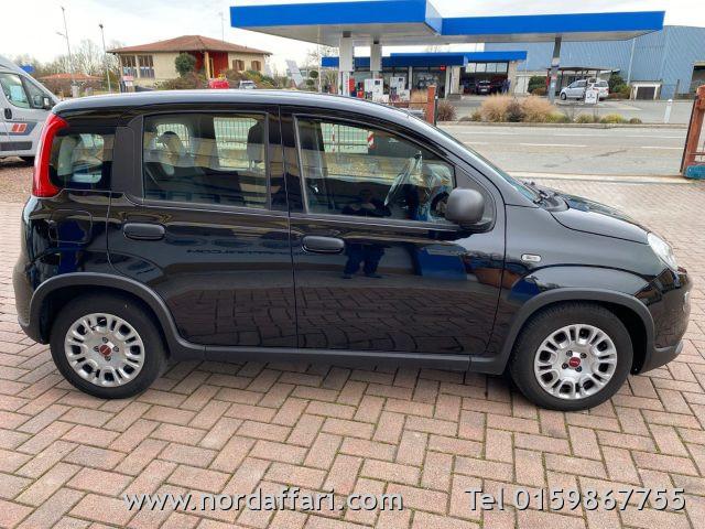 FIAT Panda 1.0 FireFly S&S Hybrid ** IVA ESPOSTA**