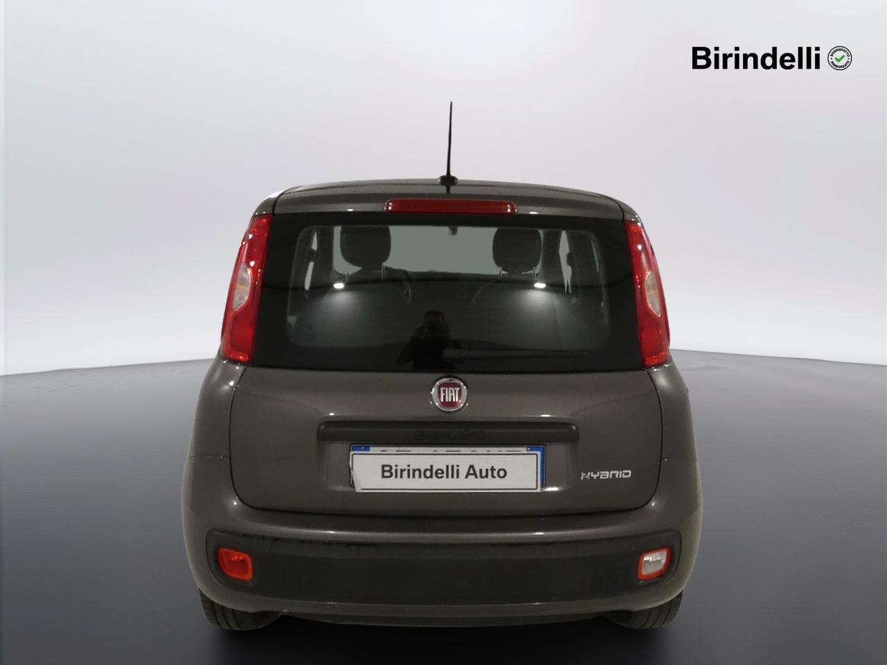 FIAT Panda 3ª serie - Panda 1.0 FireFly S&S Hybrid