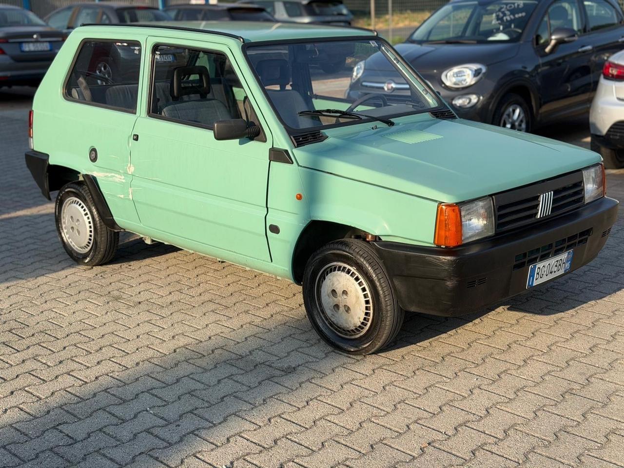 Fiat Panda 900 i.e. cat Young