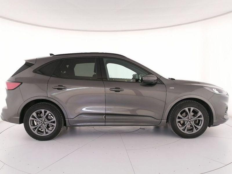 Ford Kuga 1.5 ecoblue ST-Line 2wd 120cv auto