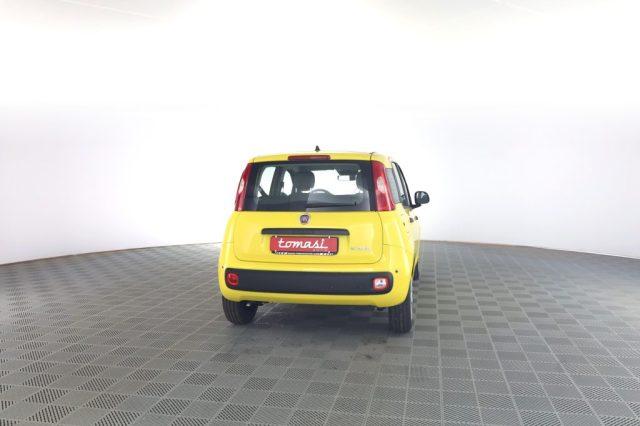 FIAT Panda Pandina 1.0 FireFly 65 CV Hybrid Pop