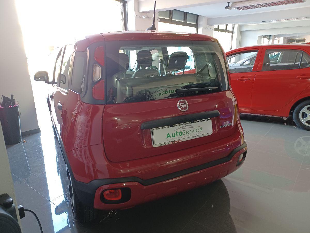 FIAT - Panda - 1.0 FireFly S&S Hybrid City Cross