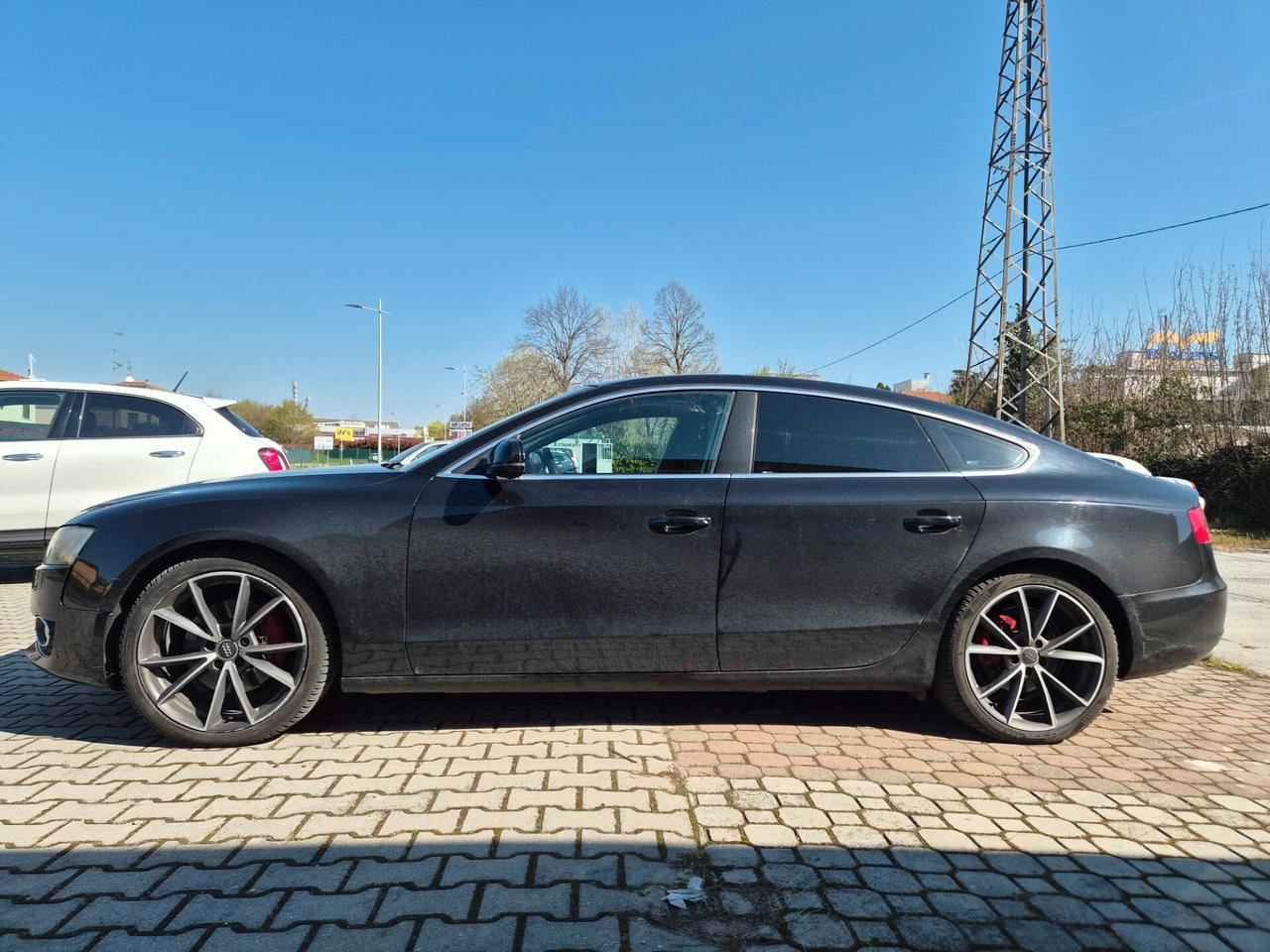 Audi A5 TDI 150 kW mHEV+ S tronic quattro Business Advanced