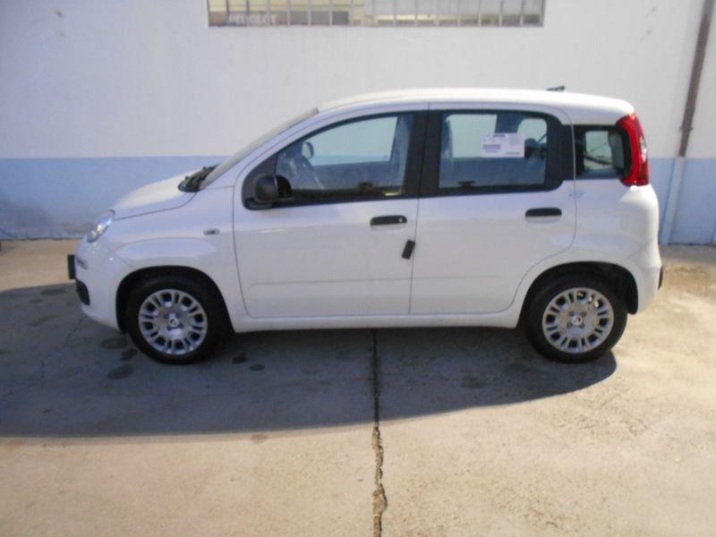 FIAT Panda 1.0 FireFly Hybrid Fin 9Perfet Sc41%