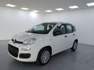 FIAT Pandina 1.0 firefly hybrid Icon s e s 70cv 5p.ti